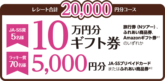 20000円分コース