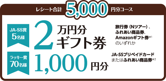 5000円分コース