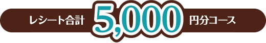 レシート合計 5000円分応募コース