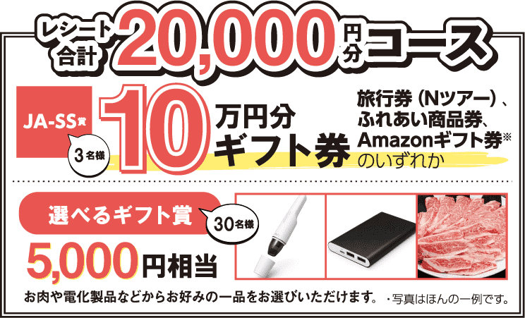 20000円分コース