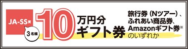 10万円分ギフト券