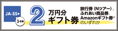 2万円分ギフト券