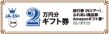 2万円分ギフト券