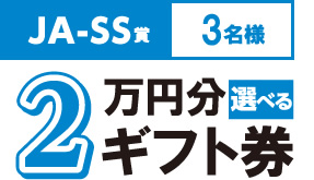 2万円分ギフト券