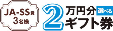 2万円分ギフト券